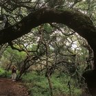 Hiking and Walking Trails